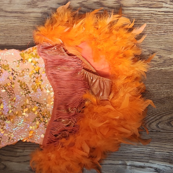 Dance Costume - Picture 2 of 6